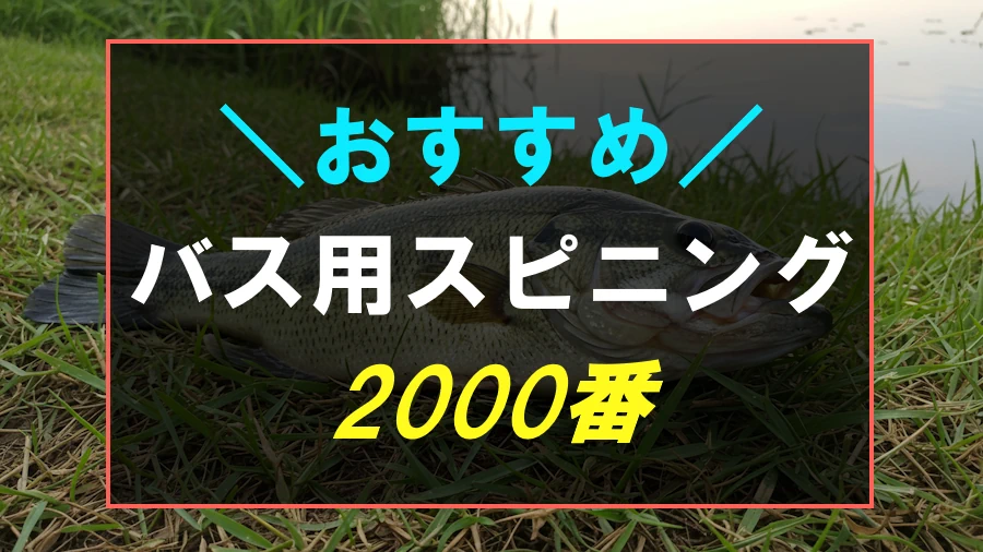 2000番手のバス釣りにおすすめなスピニングリール