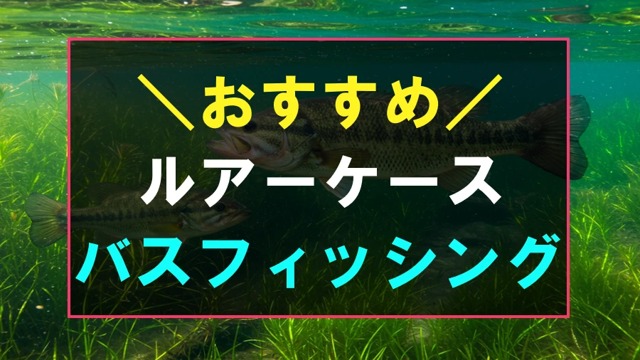 バス釣りにおすすめなルアーケース