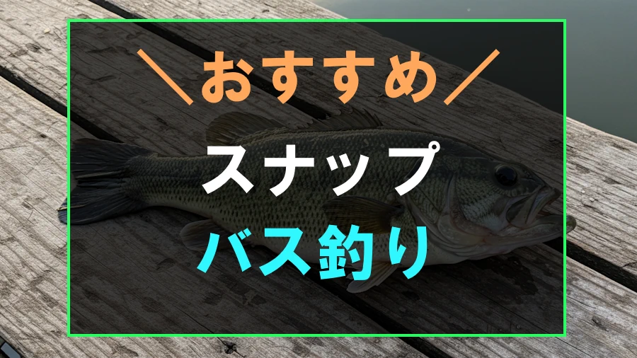 バス釣りにおすすめなスナップ