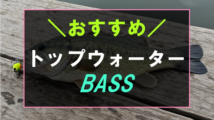 バス釣りにおすすめなトップウォーターランキング