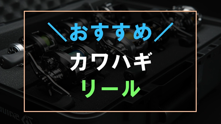 カワハギにおすすめなリール