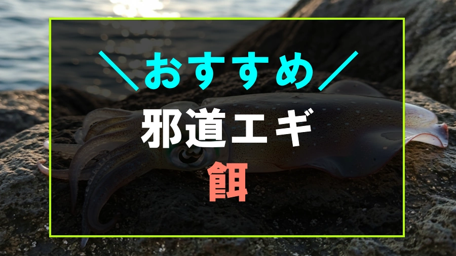 邪道エギにおすすめな餌