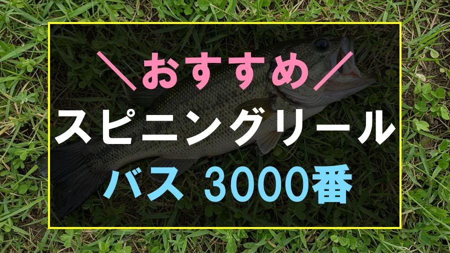 バス釣りにおすすめな3000番スピニングリール