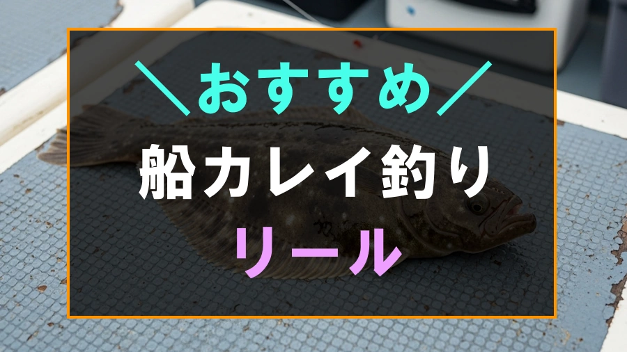 船カレイ釣りにおすすめなリール