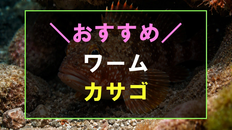 カサゴにおすすめなワーム