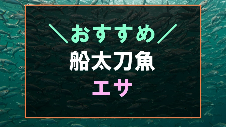 船太刀魚釣りにおすすめな餌