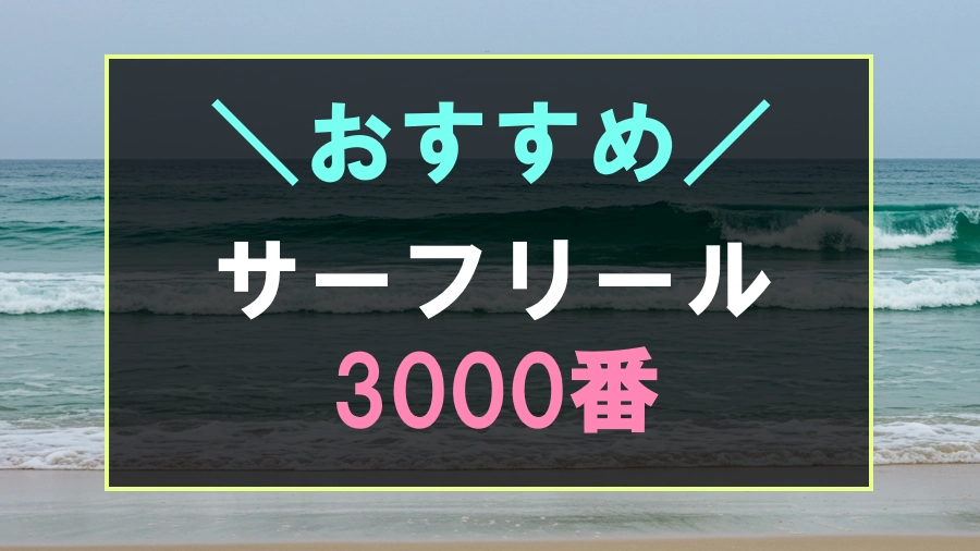 3000番でおすすめなサーフリール