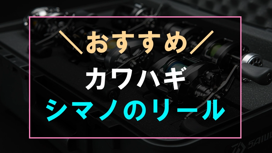 カワハギにおすすめなシマノのリール