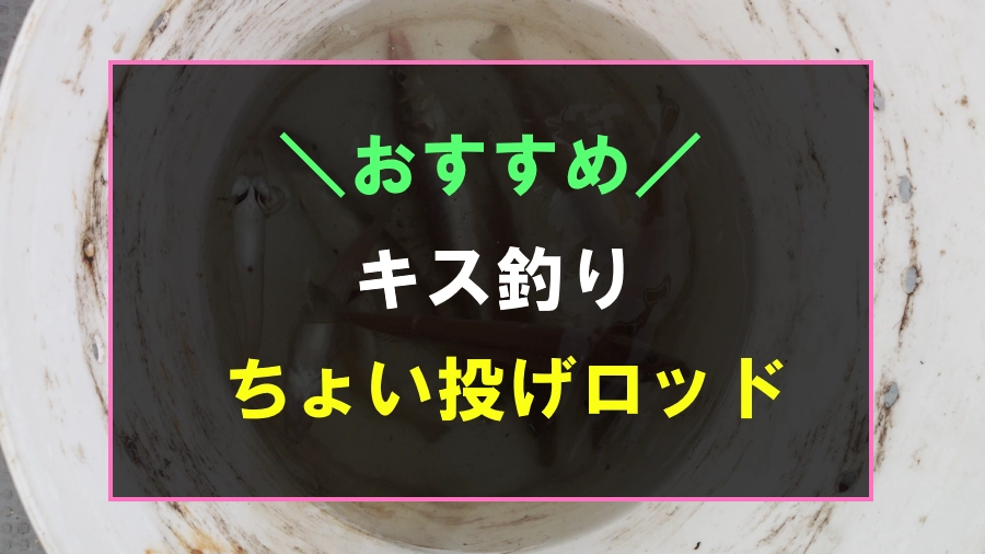 A recommended rod for surf fishing for Japanese whiting.