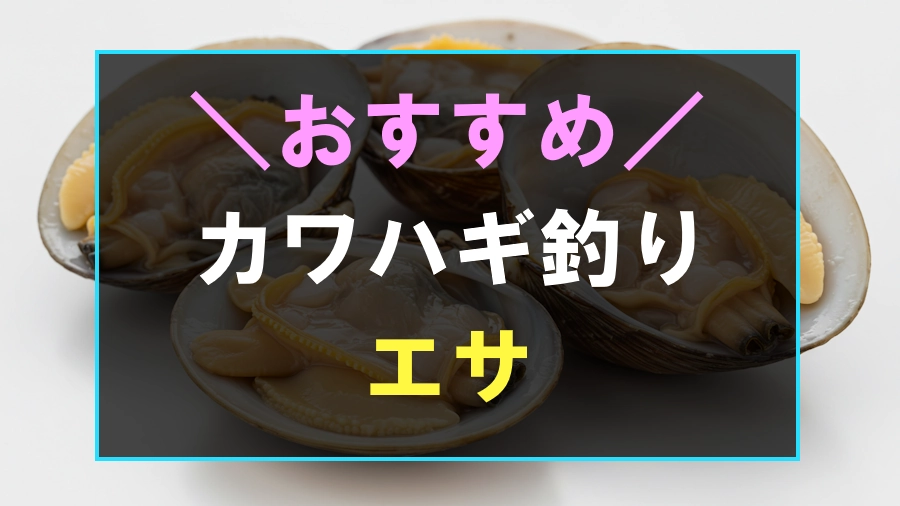 カワハギにおすすめな餌