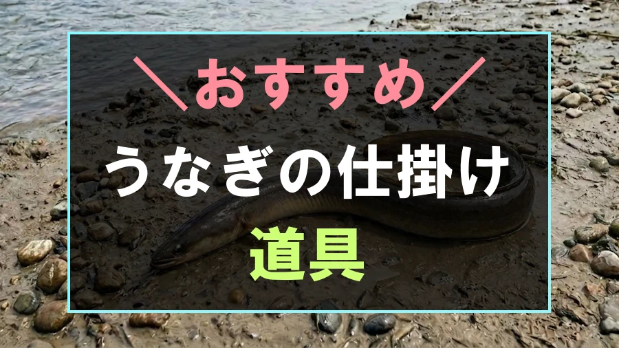 うなぎ釣りの仕掛けにおすすめな道具