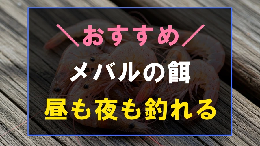 メバルにおすすめな餌