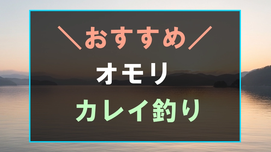 カレイ釣りにおすすめなオモリ