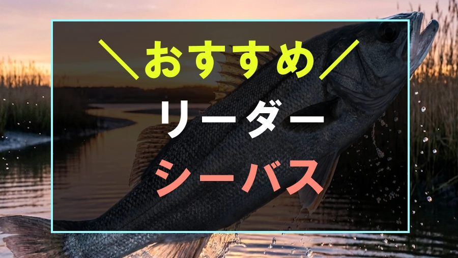 シーバスにおすすめなリーダー