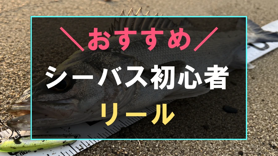 シーバス初心者におすすめなリール
